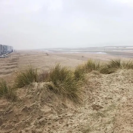 House In Near The Sea And Shops, Cleaning Included *